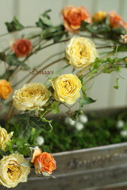 Rose Container Garden      　　　　　　5月サンプル作品(3)