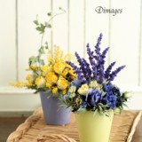 Pot arrangement　　　　　　　3月サンプル作品のイメージ