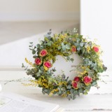 Plate arrangement　　　　2月サンプル作品のイメージ